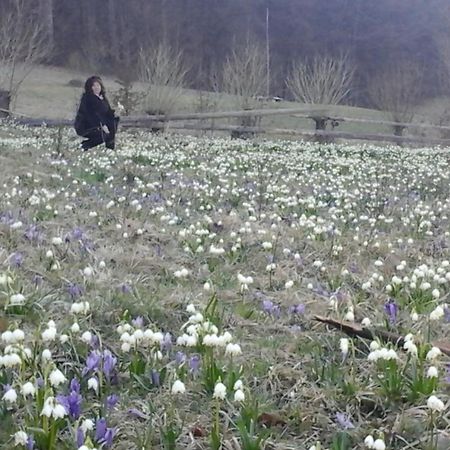 Садиба Під Гострою Zhdeniievo Bagian luar foto